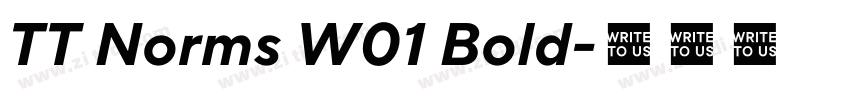TT Norms W01 Bold字体转换 TT Norms W01 Bold字体转换